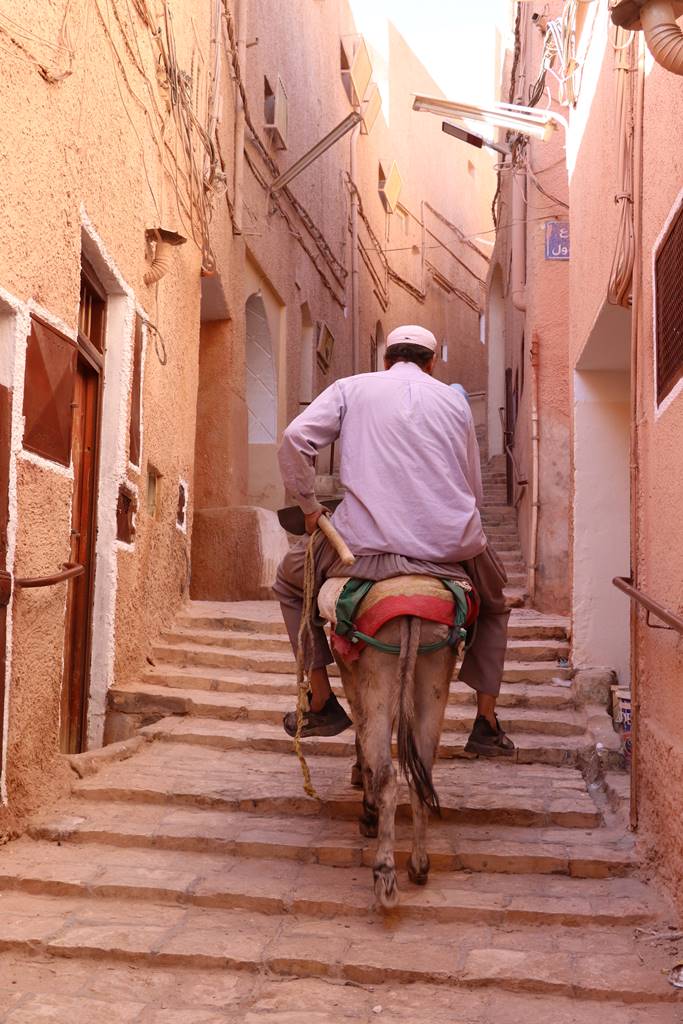 Ghardaïa Vallée du MZab (14)