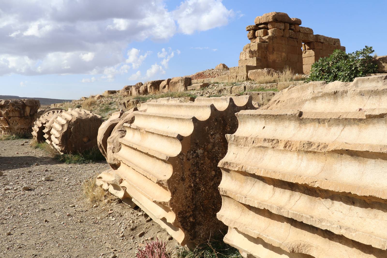 Timgad Thamugadi (28)