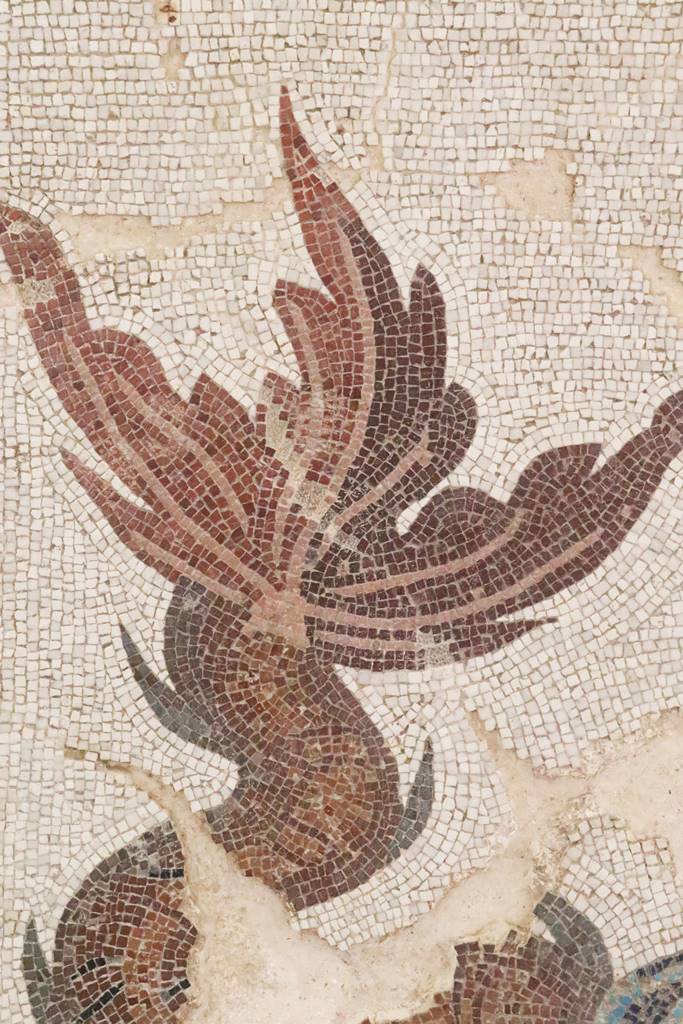 Timgad Thamugadi (45)