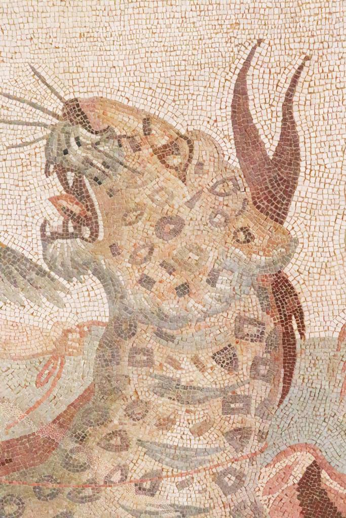 Timgad Thamugadi (50)