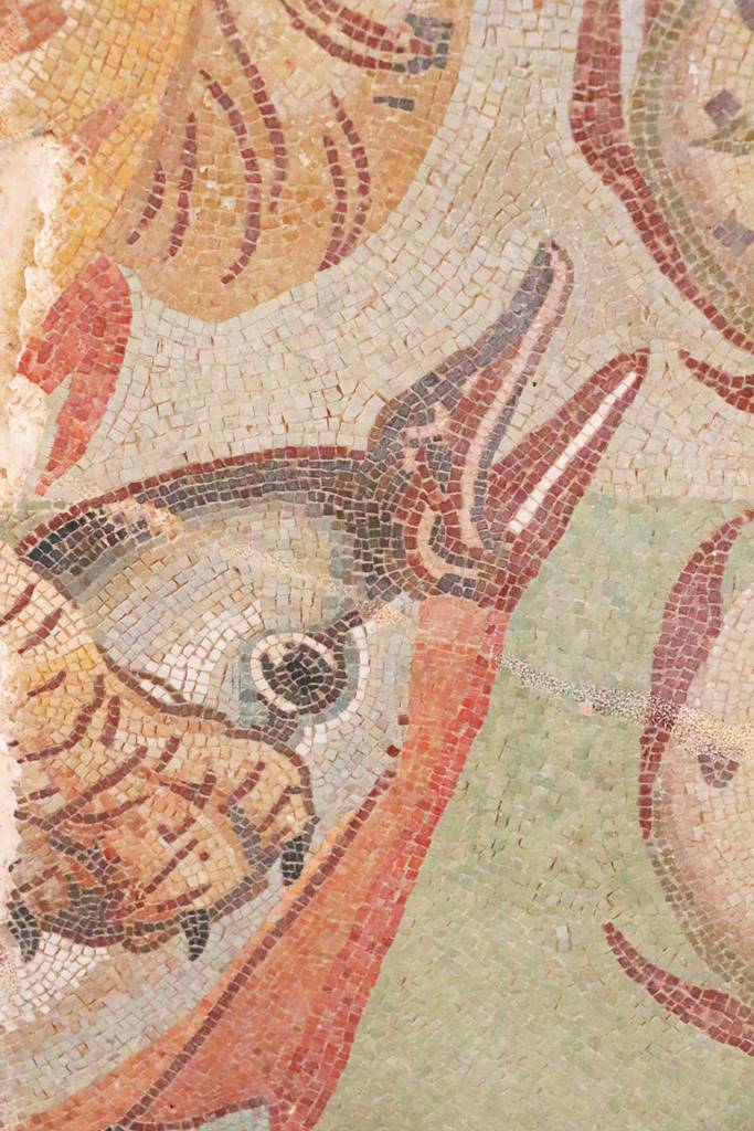 Timgad Thamugadi (52)