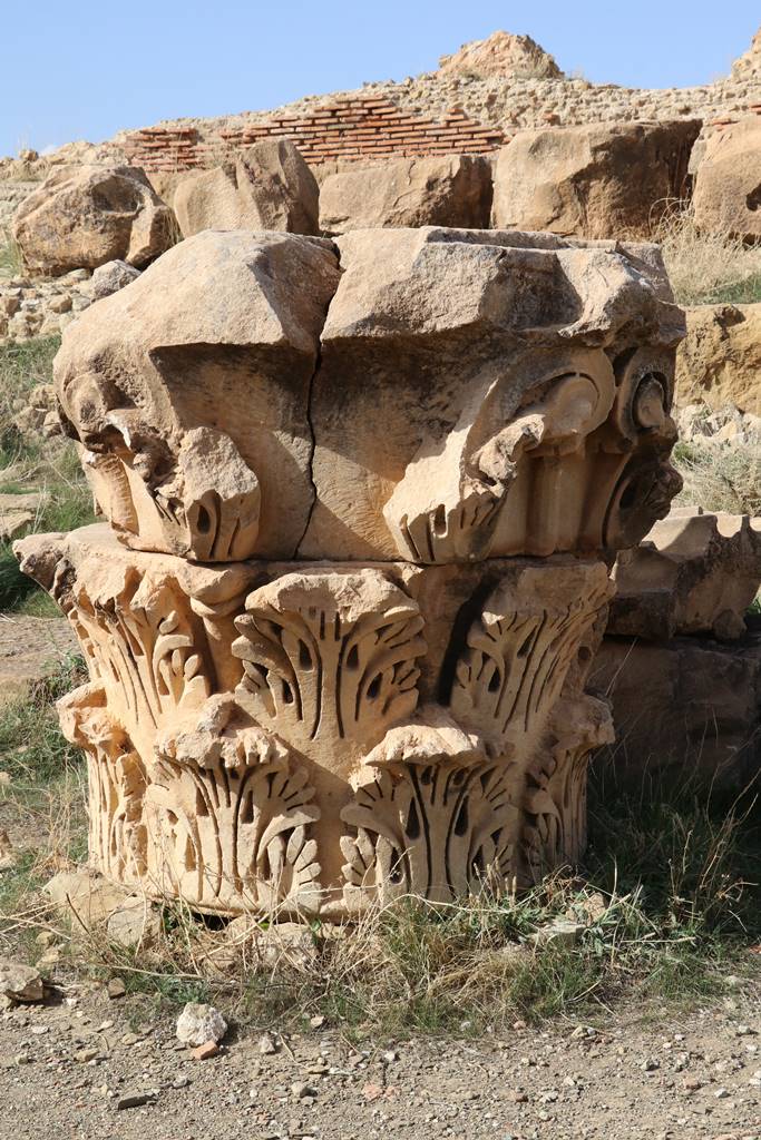 Timgad Thamugadi (8)