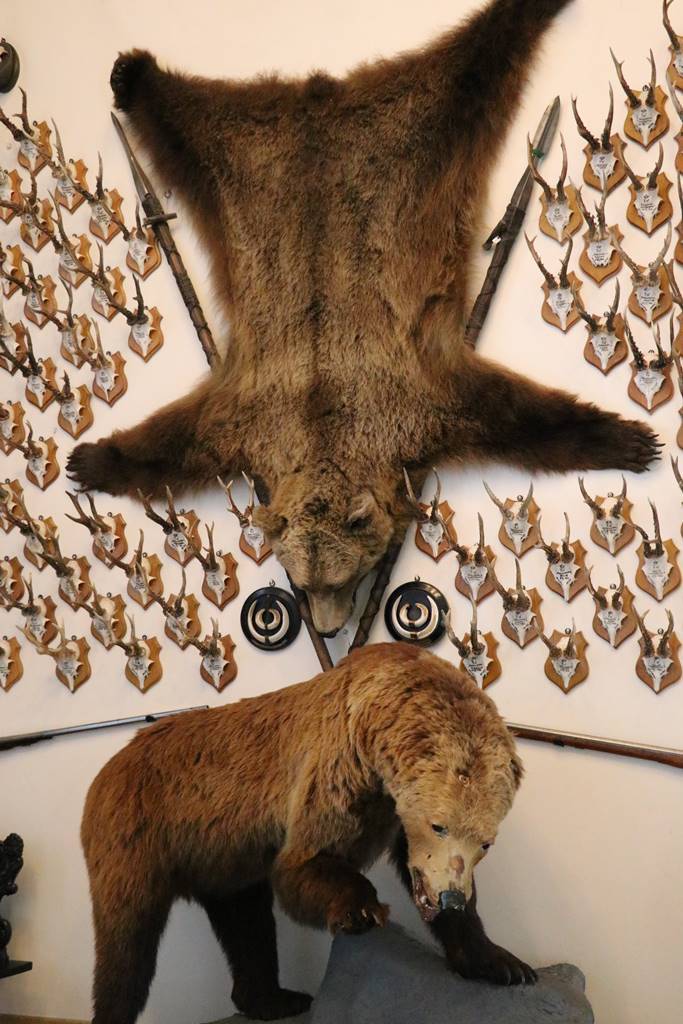 Château de Sigmaringen (15) Château de Sigmaringen (15)