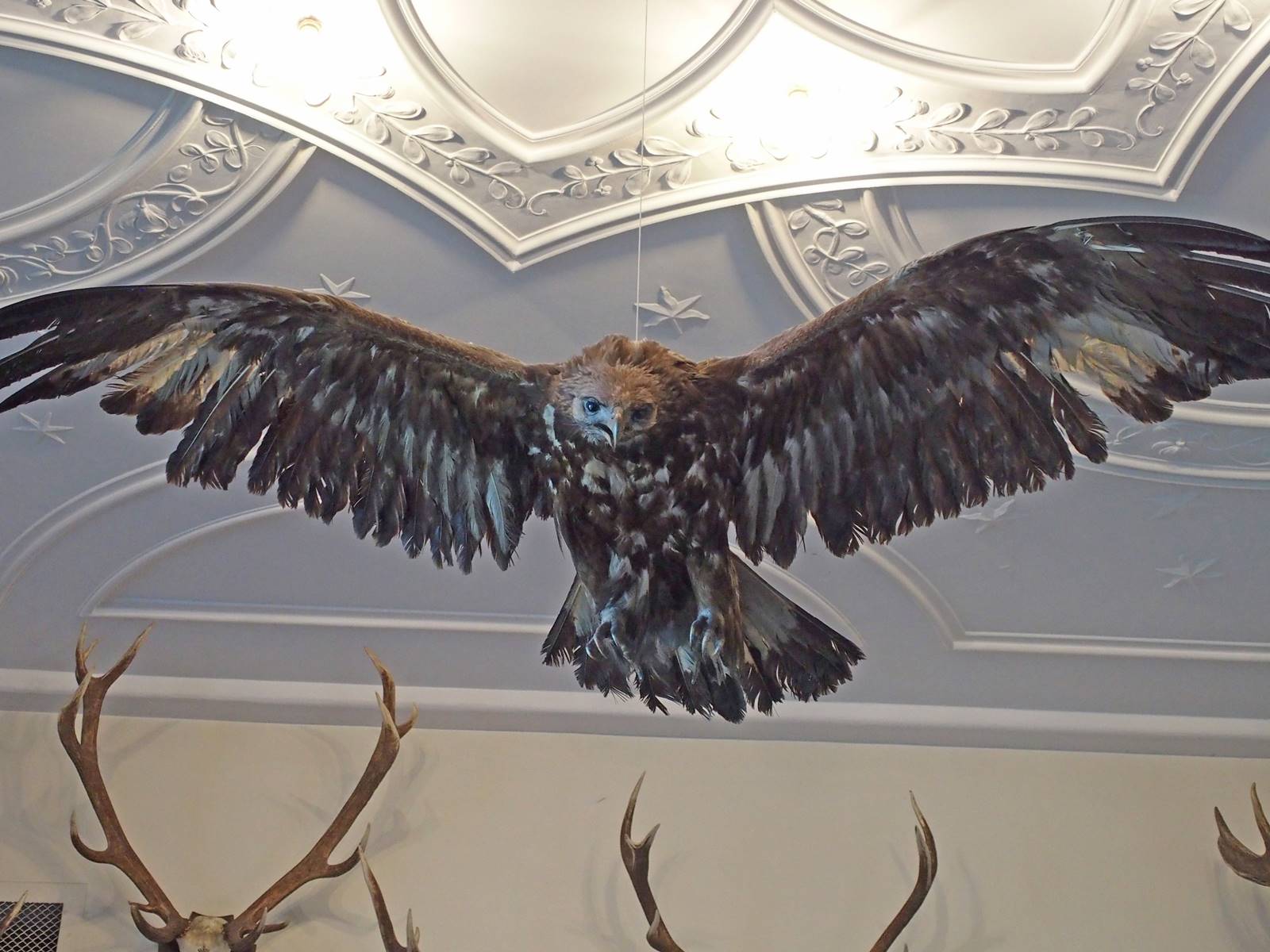 OLYMPUS DIGITAL CAMERA OLYMPUS DIGITAL CAMERA