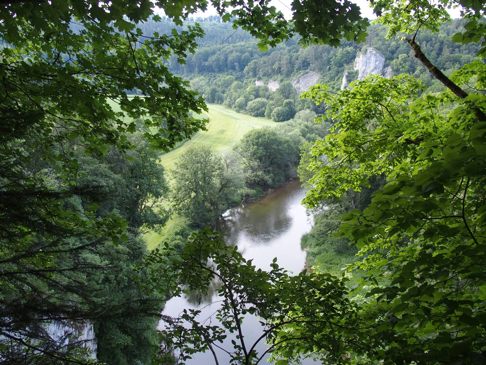 OLYMPUS DIGITAL CAMERA OLYMPUS DIGITAL CAMERA