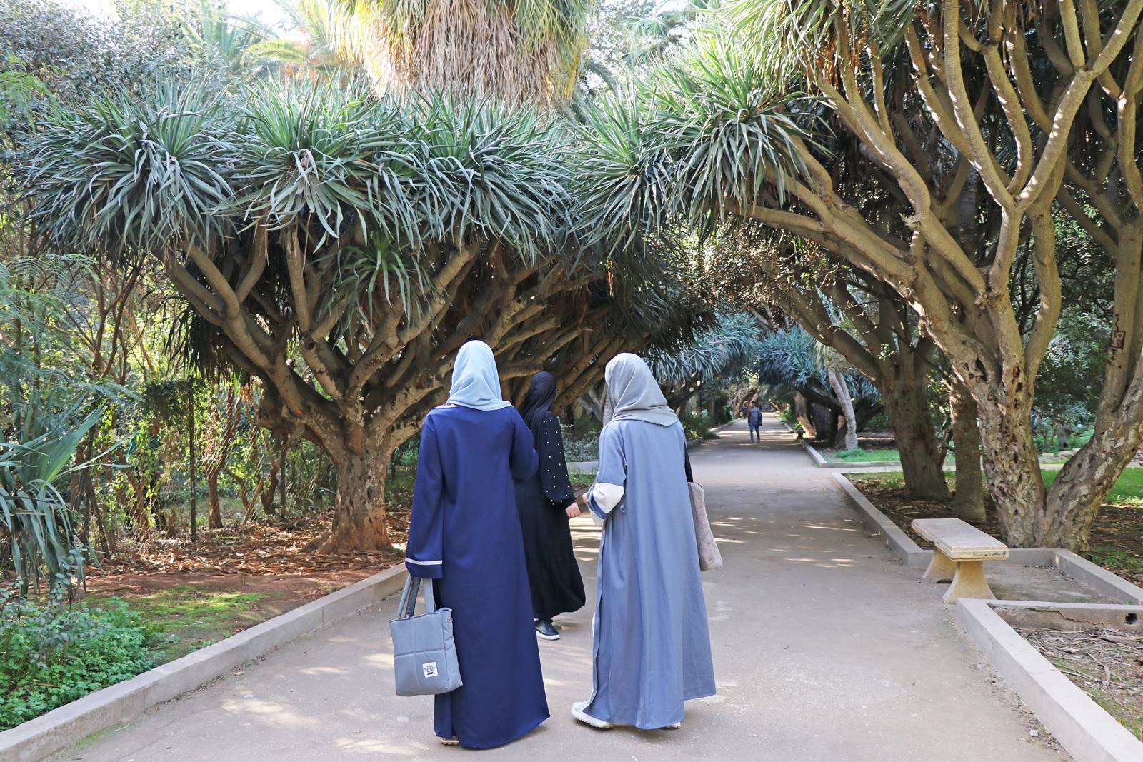 Jardin botanique d'Alger (14)