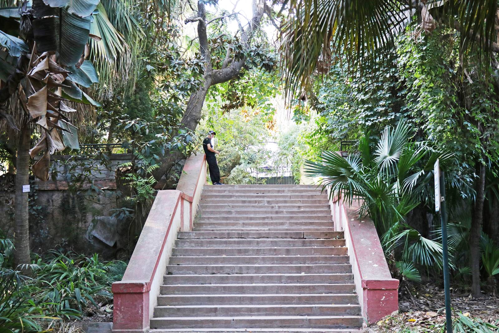 Jardin botanique d'Alger (24)
