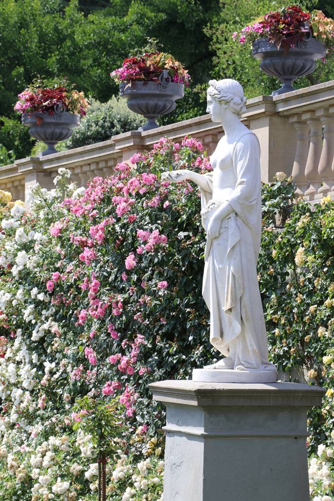 Lac de Constance Mainau (10)