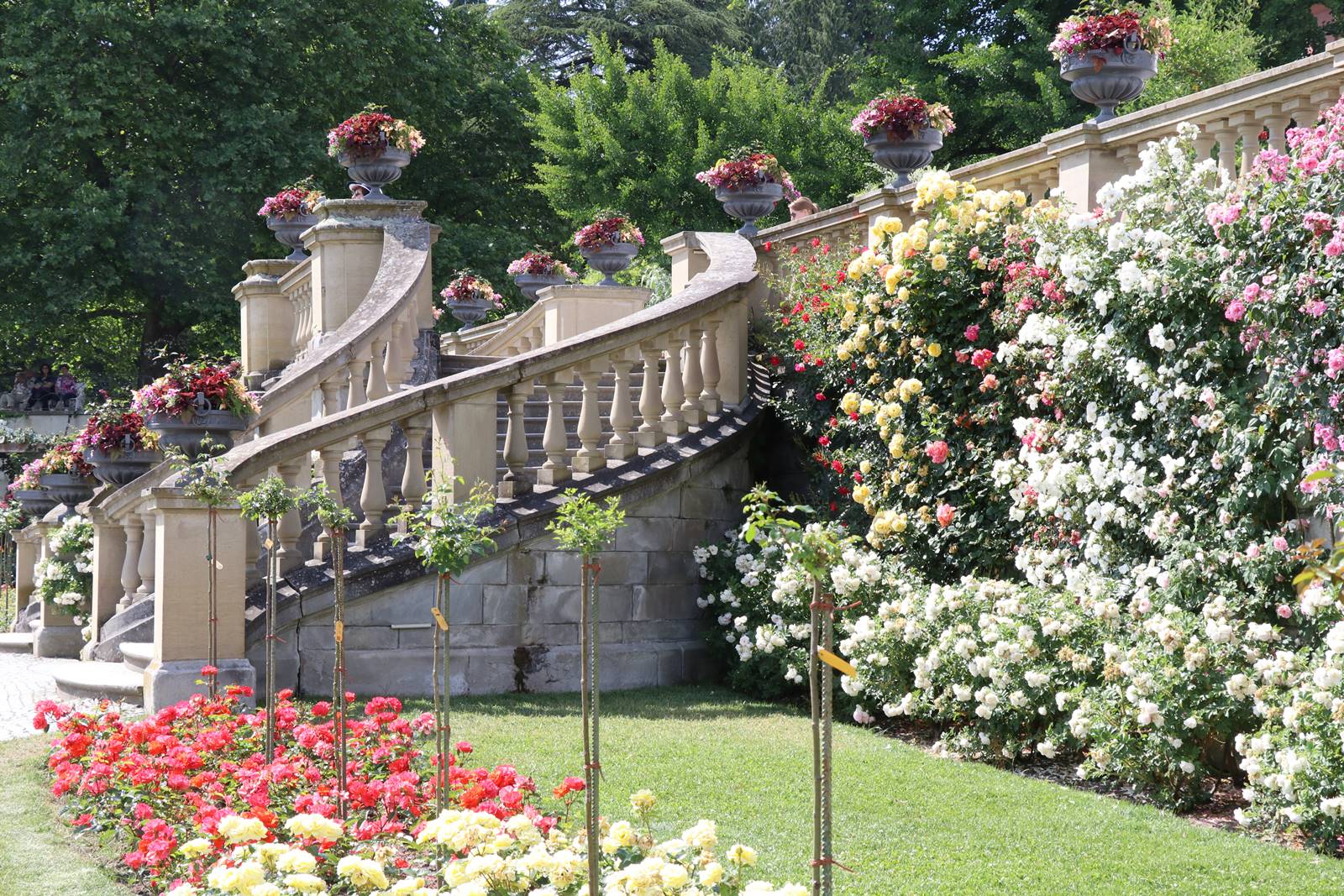 Lac de Constance Mainau (21)