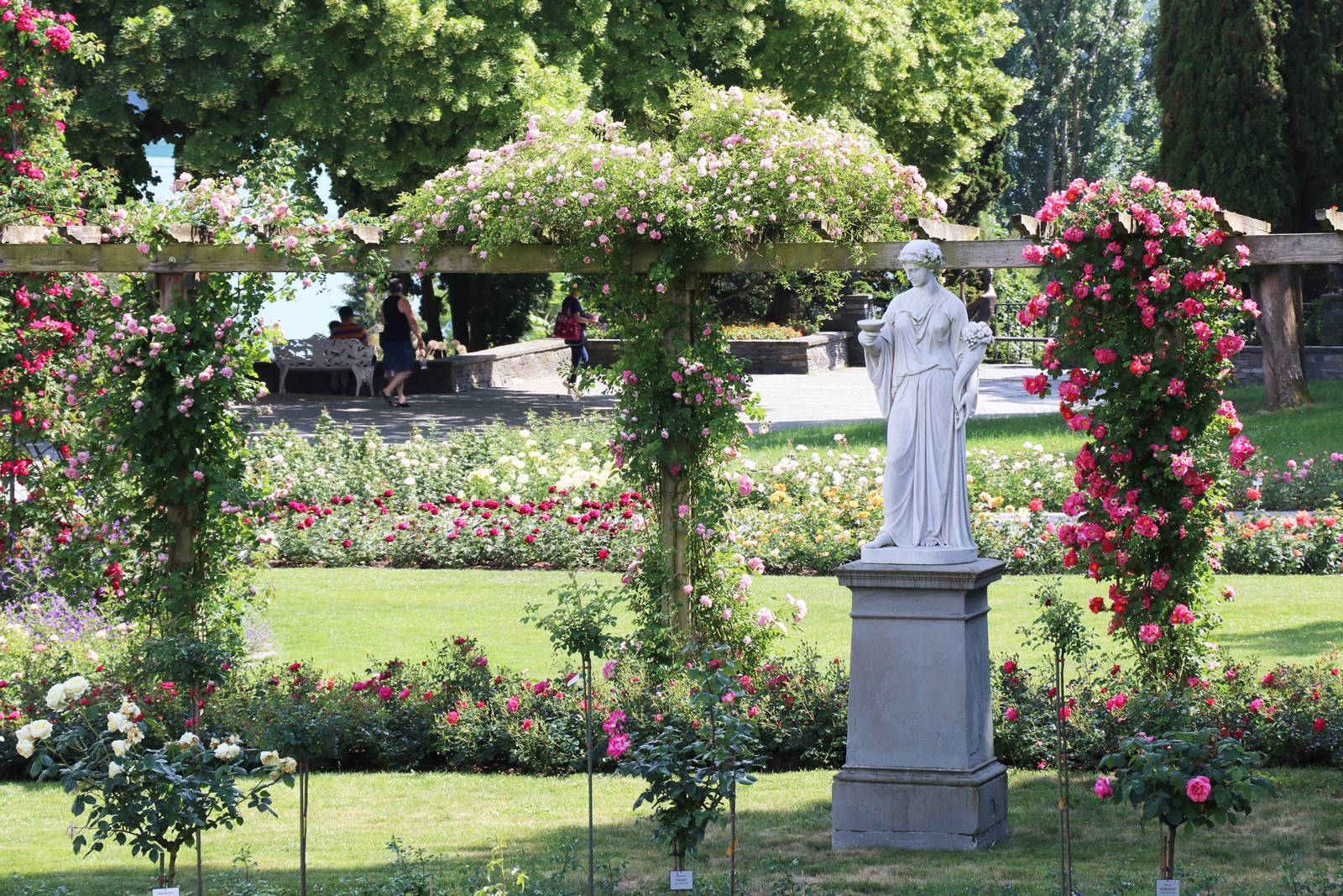 Lac de Constance Mainau (27)
