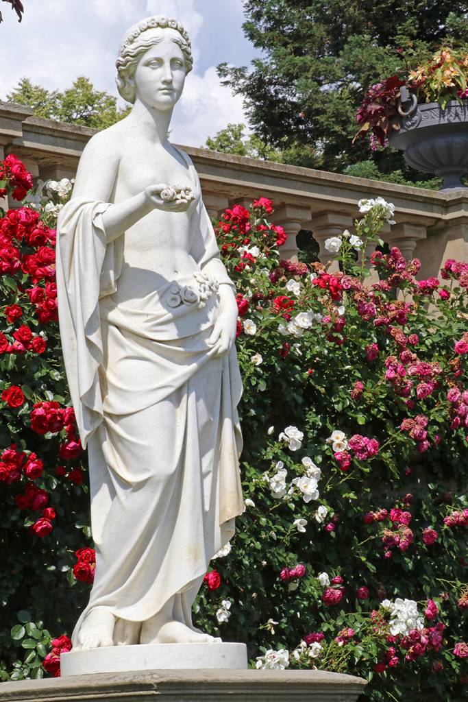 Lac de Constance Mainau (9)