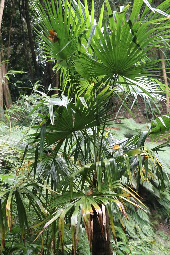 Parc de Chantore Normandie (26)