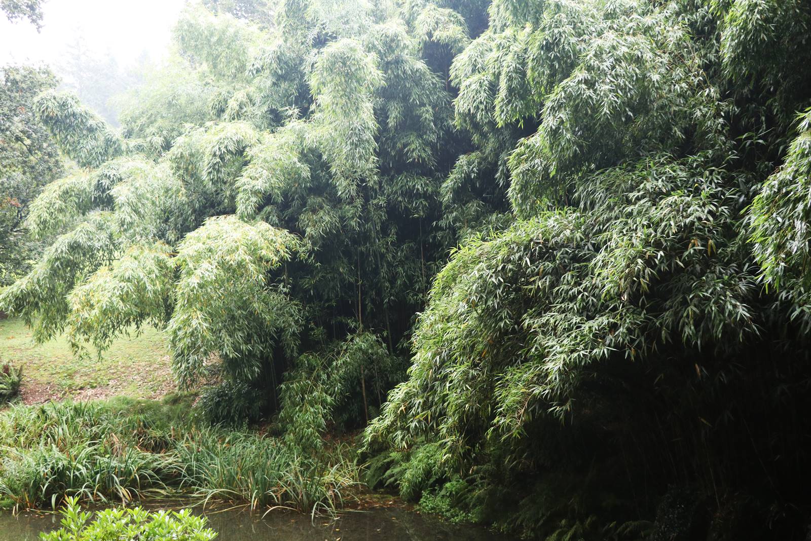 Parc de Chantore Normandie (33)