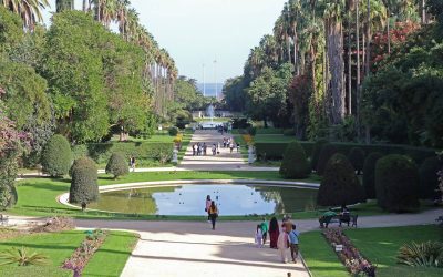 Jardin d&rsquo;Essai du Hamma, Alger