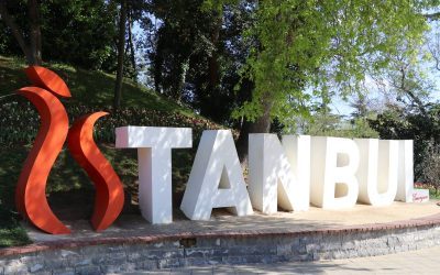 La tulipe à Istanbul