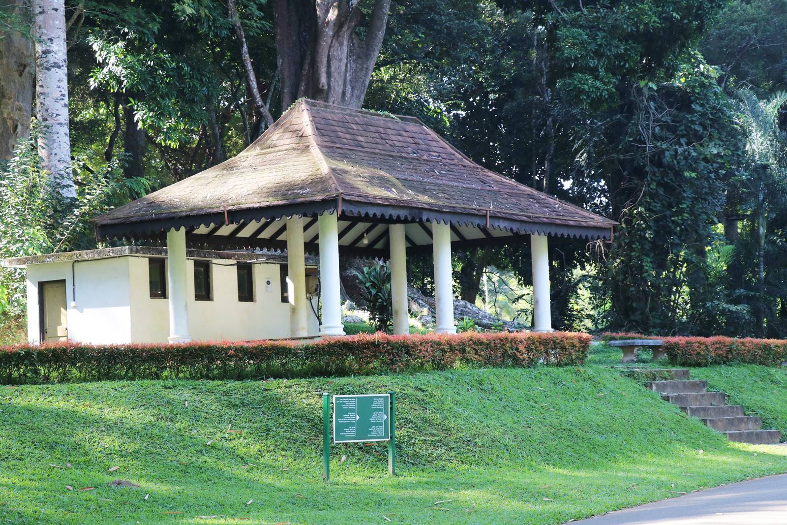 Royal Botanic Gardens Peradeniya (4)
