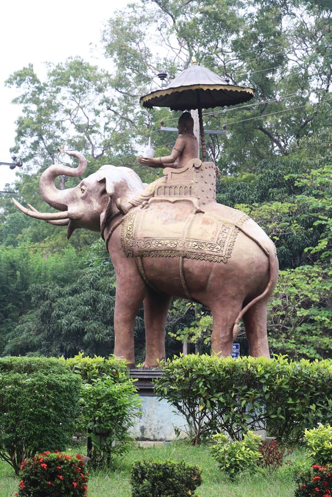 Elephant Sri Lanka (2)