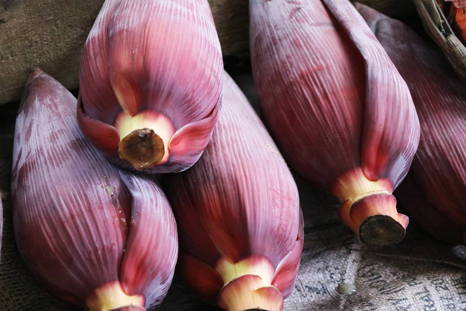 Gastronomie Sri Lanka (7)