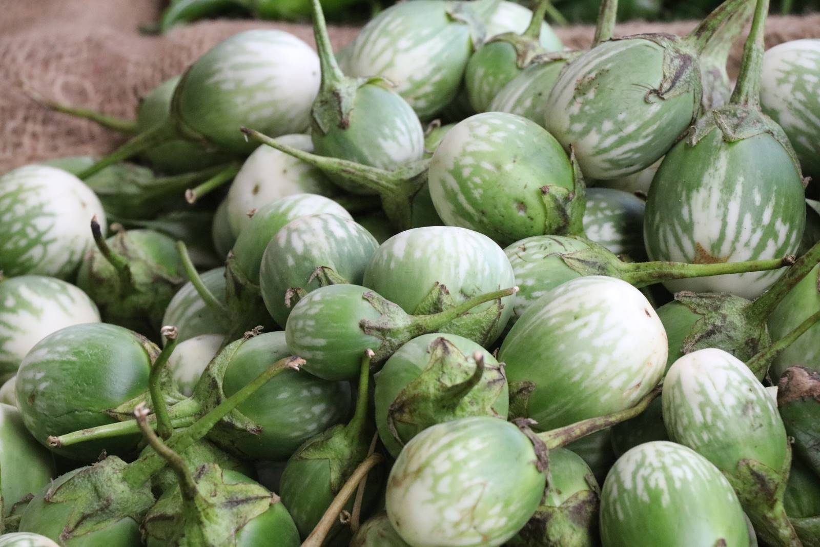 Gastronomie Sri Lanka (8)