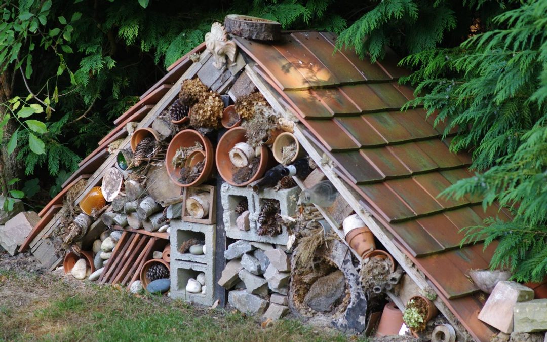 L&rsquo;hôtel à insectes