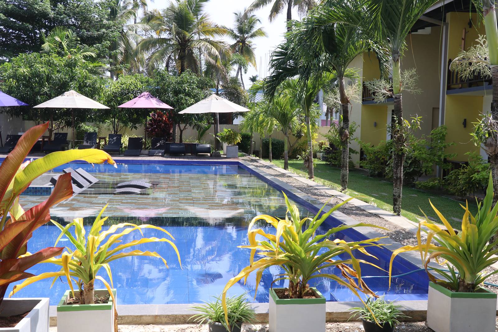 Logements Sri Lanka (6)