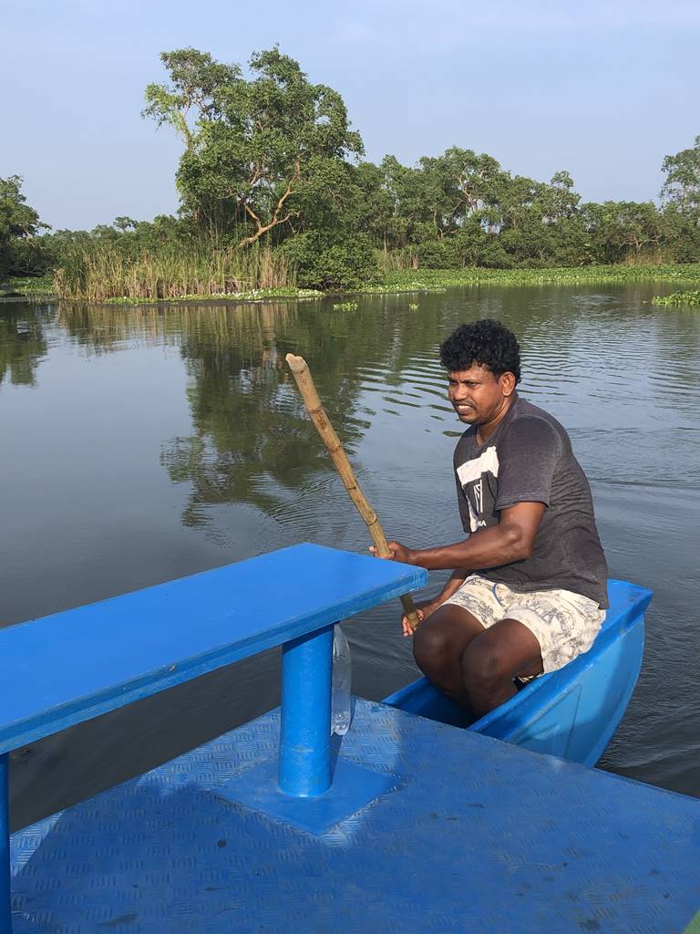 Mangrove Sri Lanka (3)