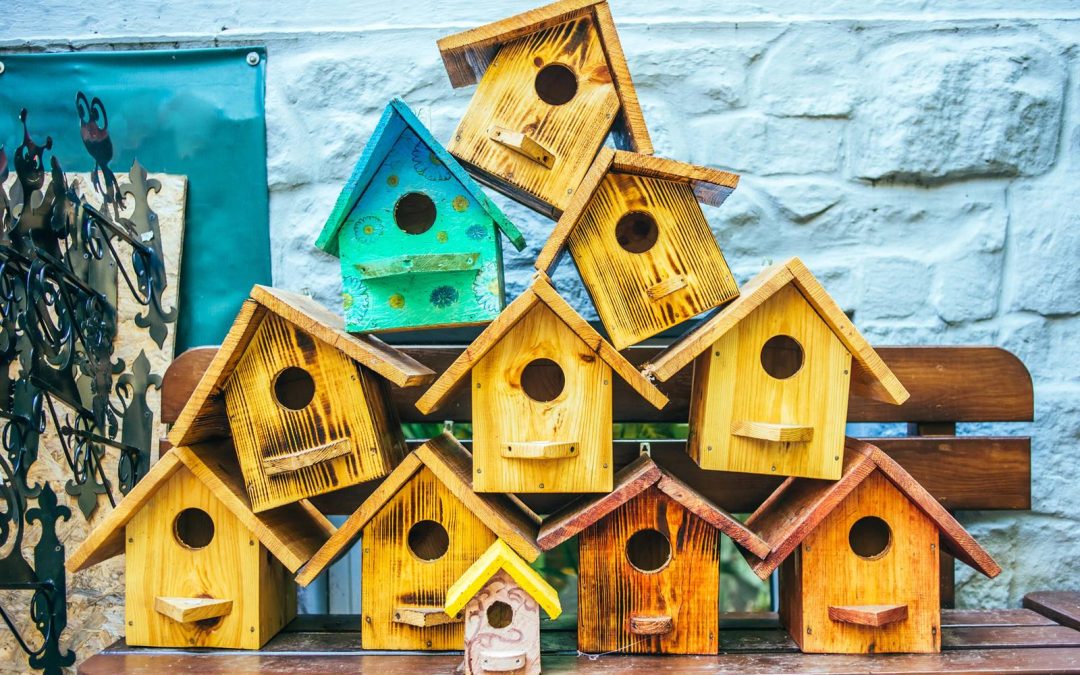 Un nichoir pour les oiseaux