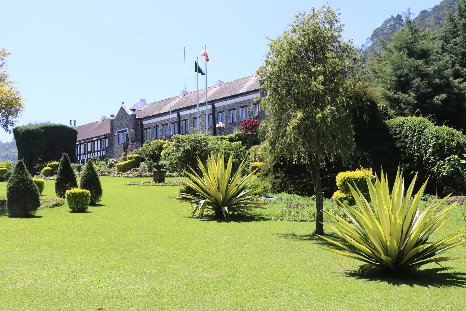 Nuwara Ellya (4)