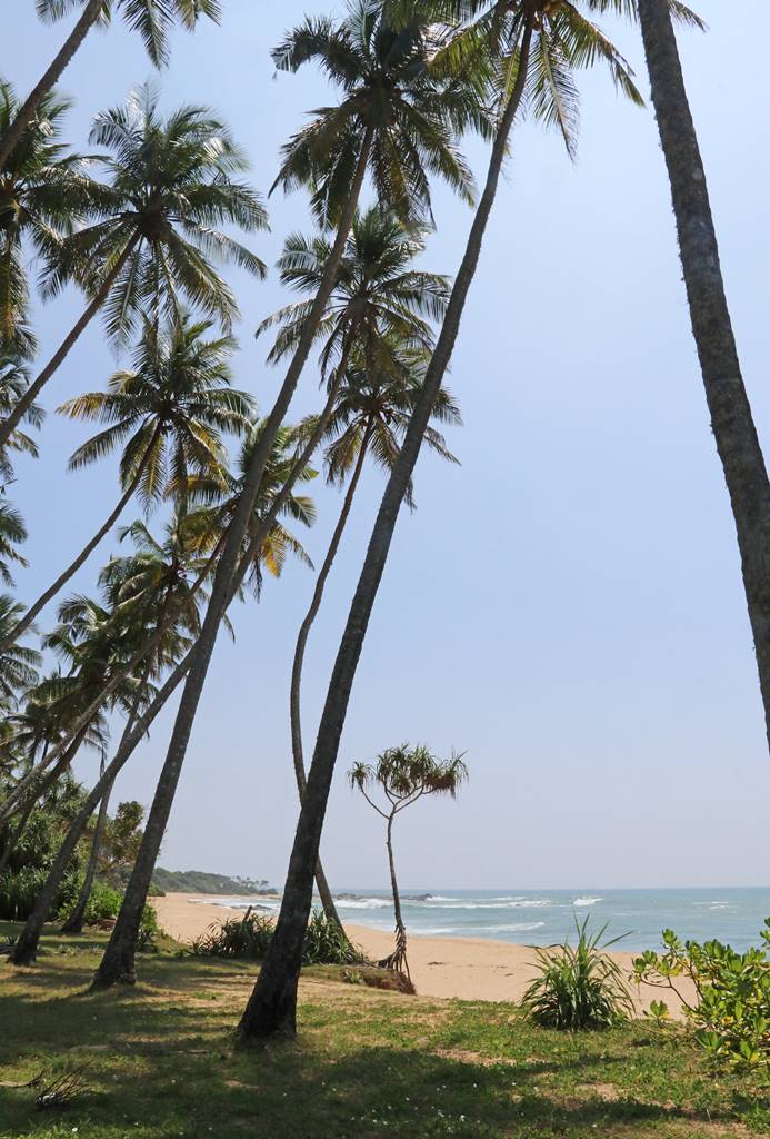 Rekawa Beach
