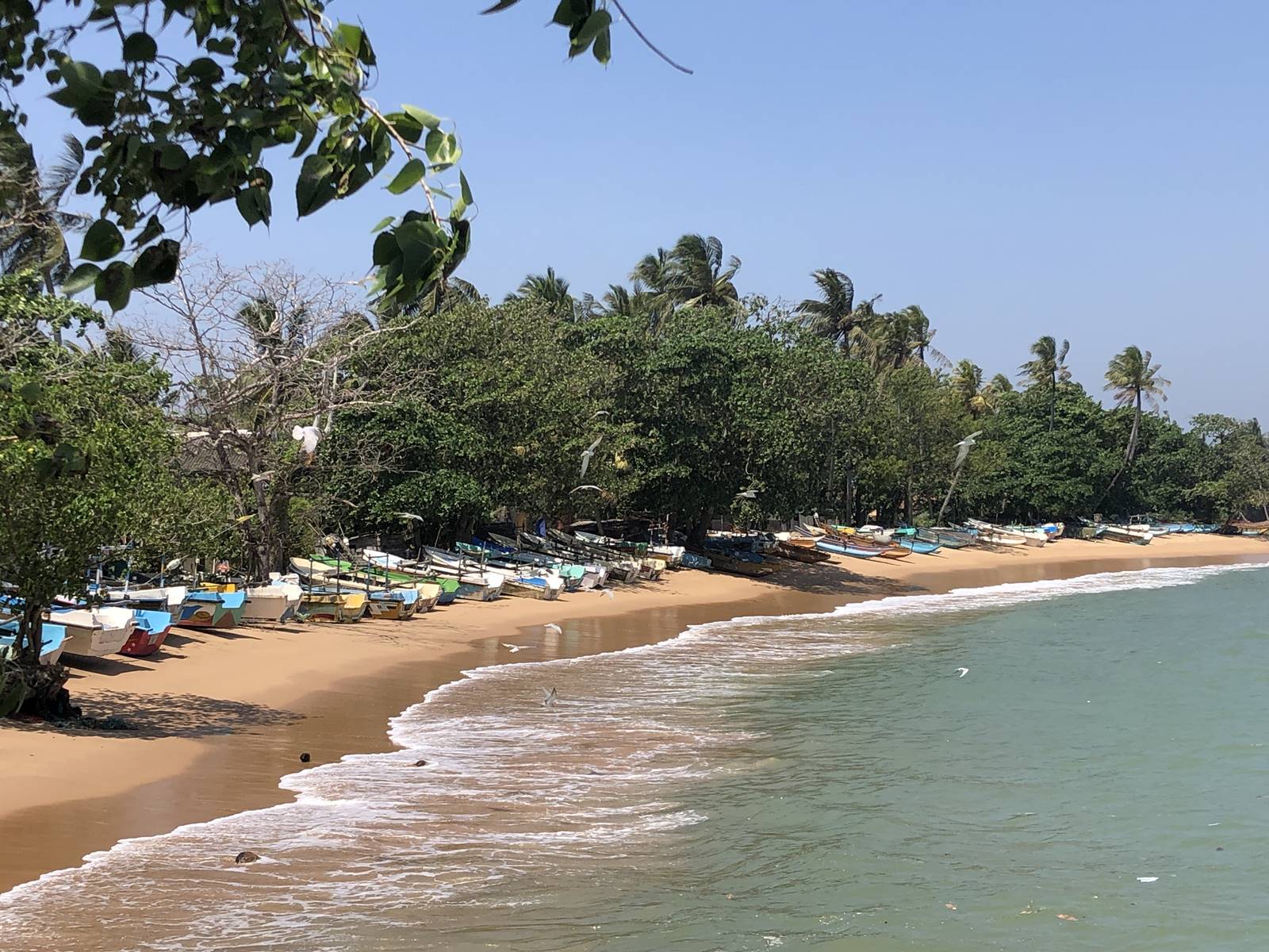 Tangalle plage