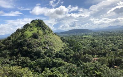 Sri Lanka, le guide voyage