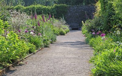 Gravier dans le jardin, guide pratique