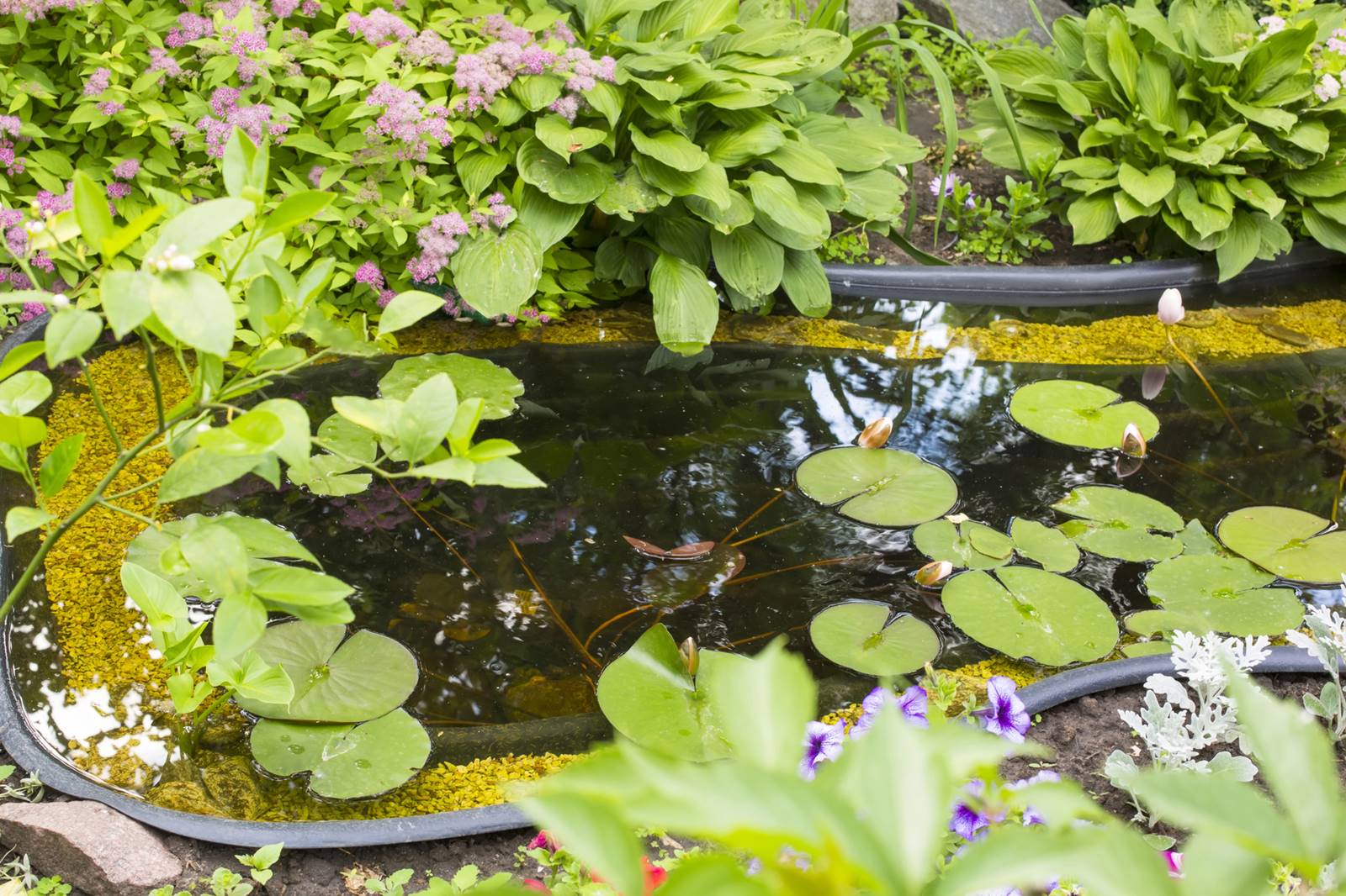 Bassin Depositphotos (3)