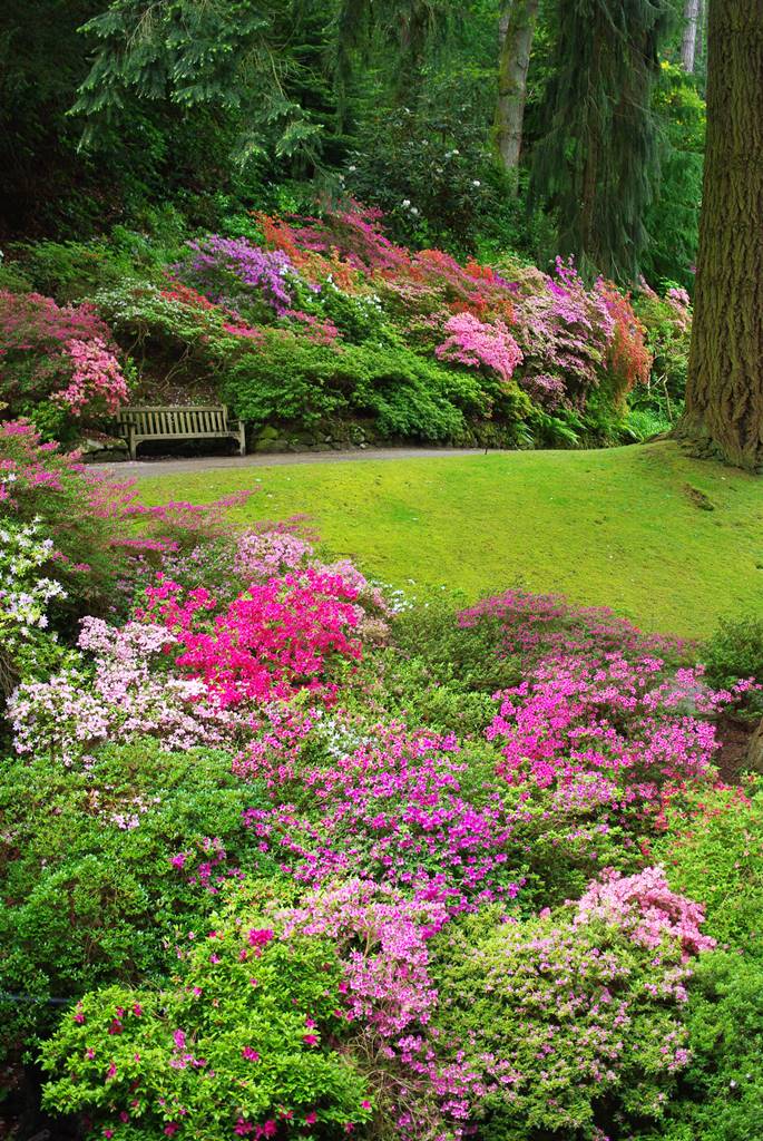 Bodnant Garden Wales (24)