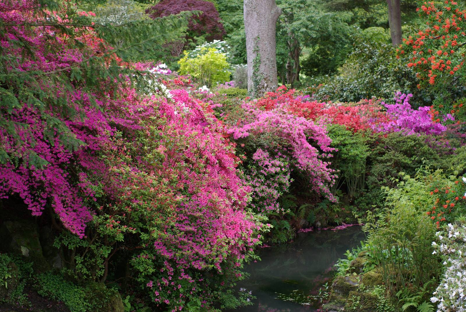 Bodnant Garden Wales (35)