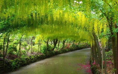 Bodnant Garden, Pays de Galles
