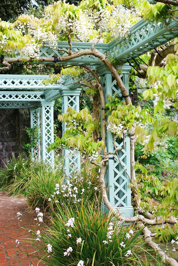 Bodnant Garden Wales (6)