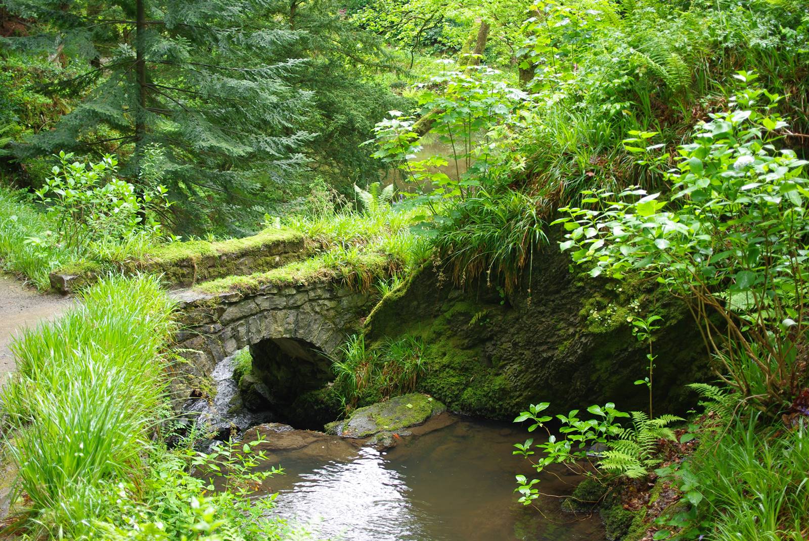 Bodnant Garden Wales (9)