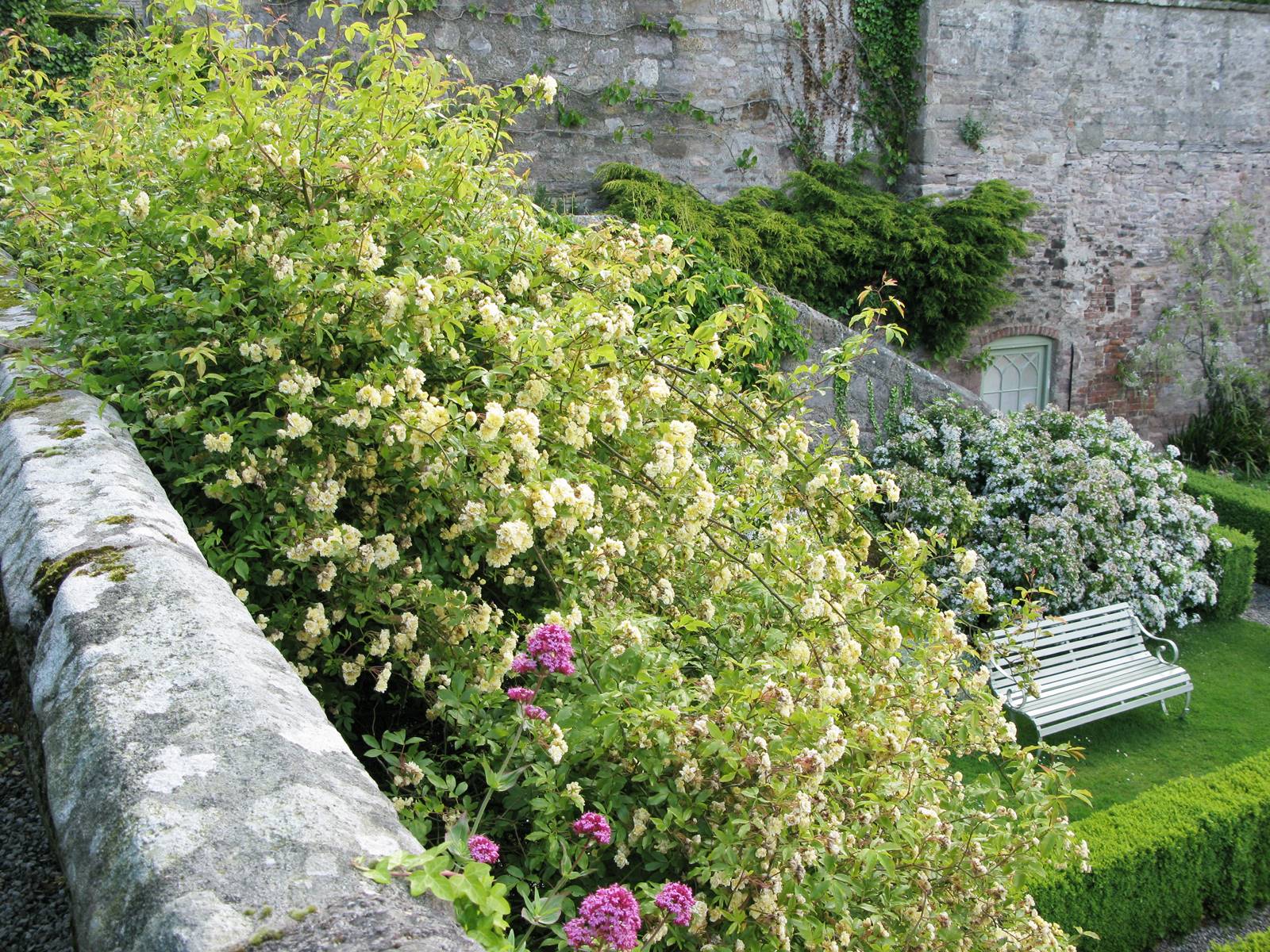 Bodysgallen Hall North Wales (2) Bodysgallen Hall North Wales (2)