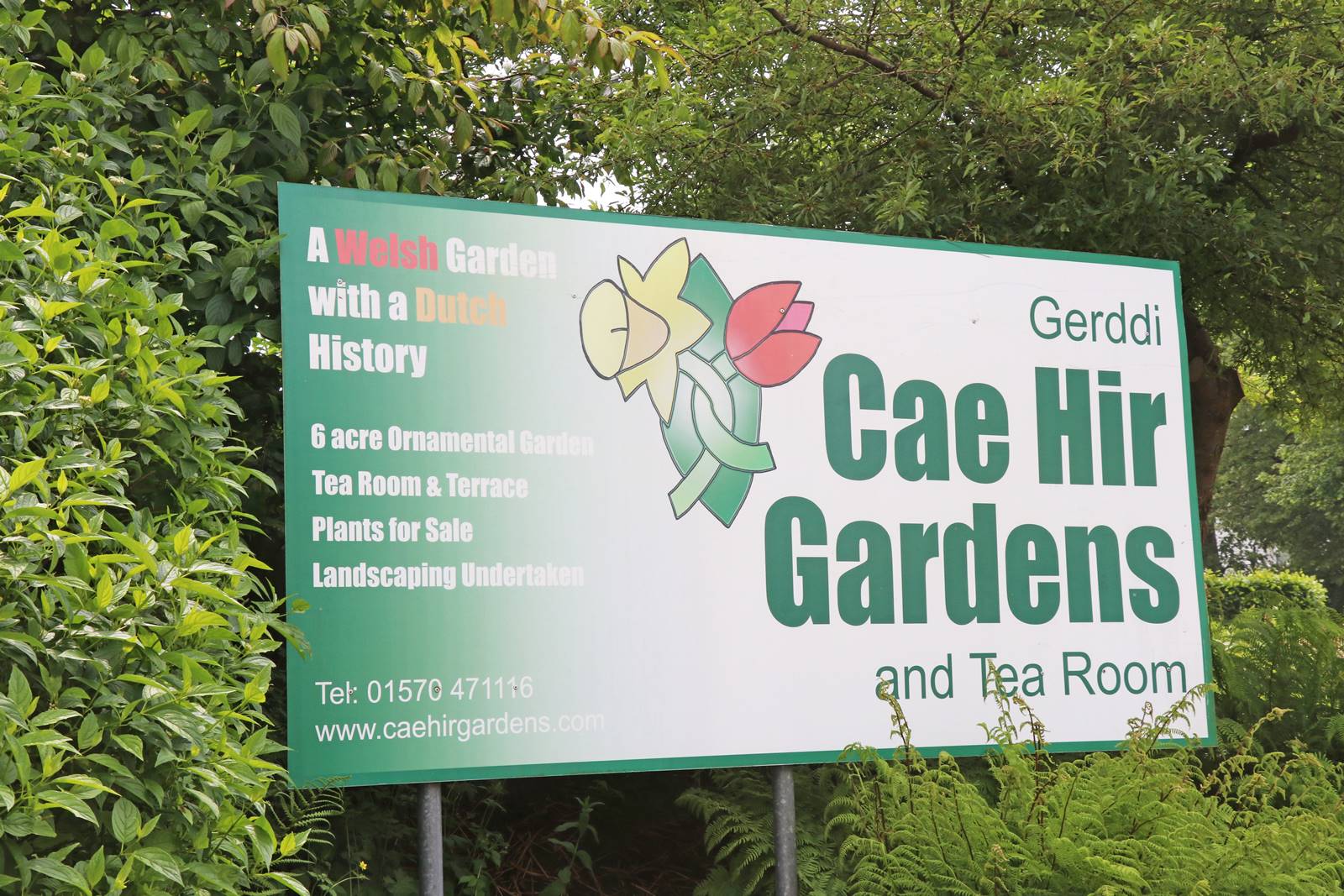 Cae Hir Wales (10) Cae Hir Wales (10)