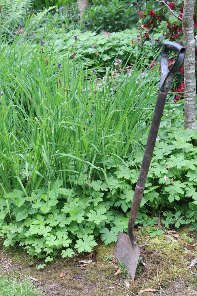 Cae Hir Wales (16) Cae Hir Wales (16)