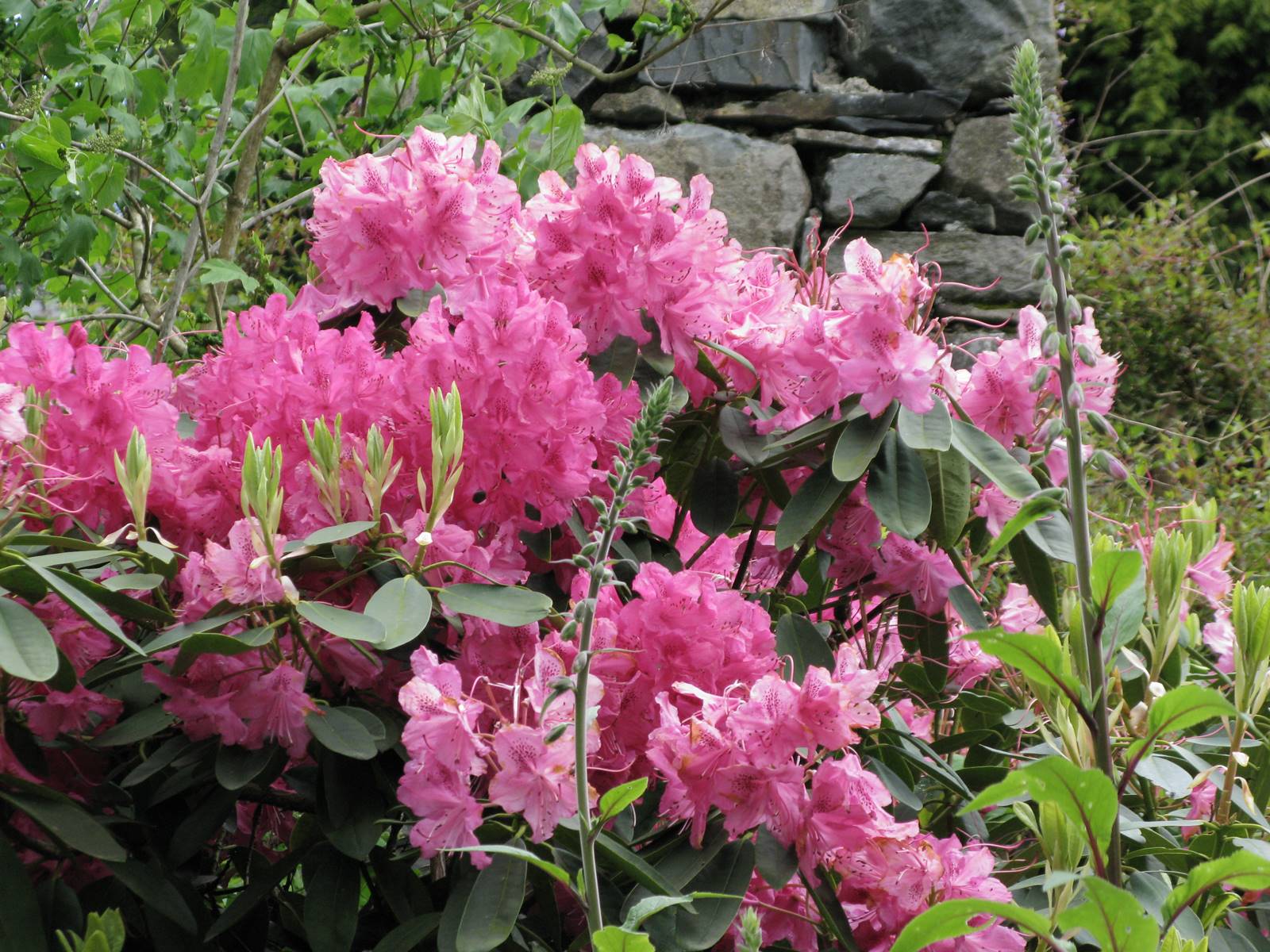 Plas Brondanw Wales (10) Plas Brondanw Wales (10)