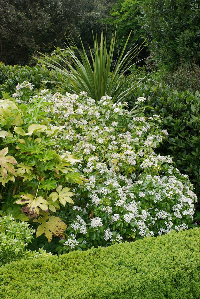 Plas Newydd Wales (9) Plas Newydd Wales (9)