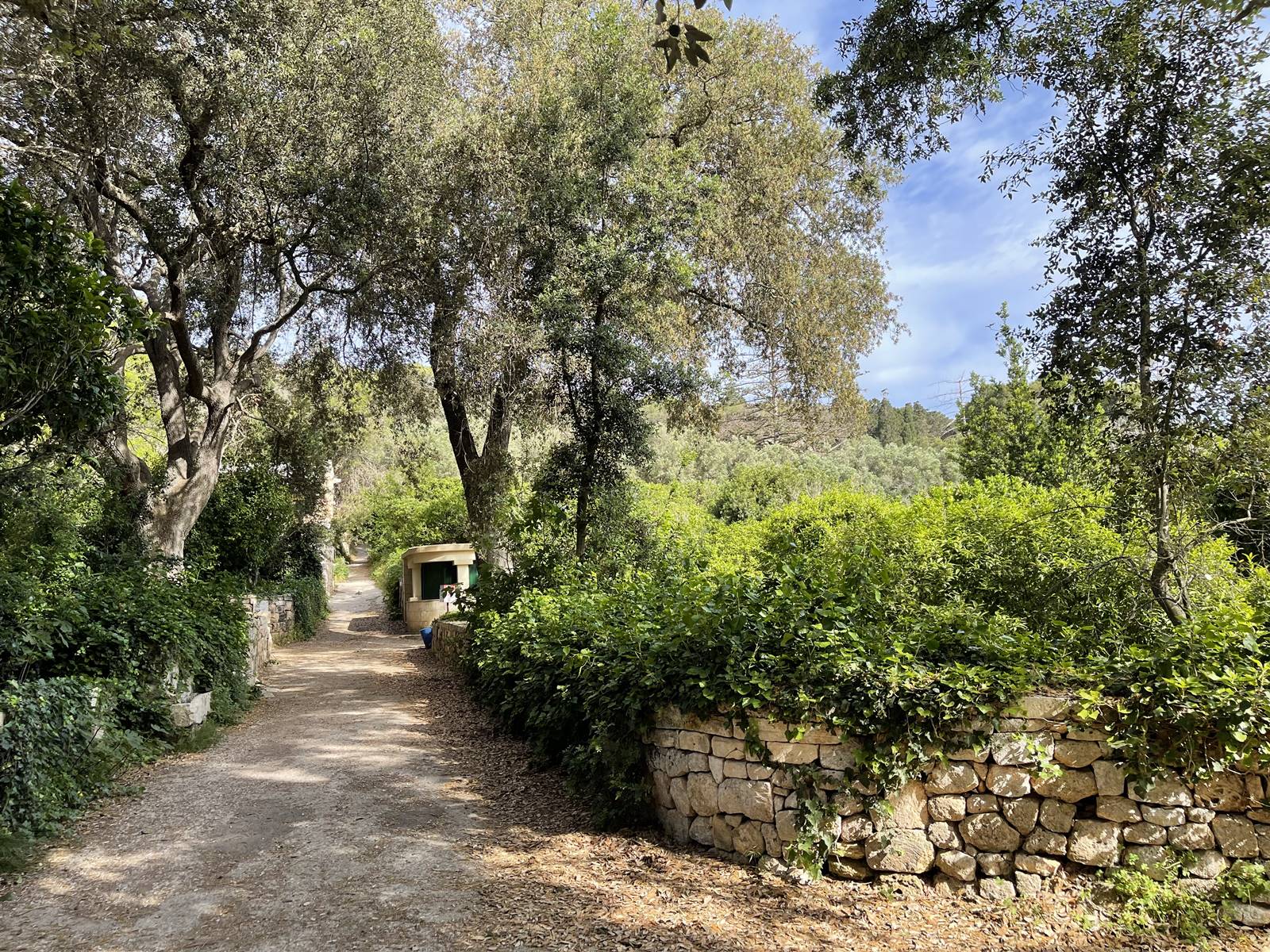 Buskett gardens (4)