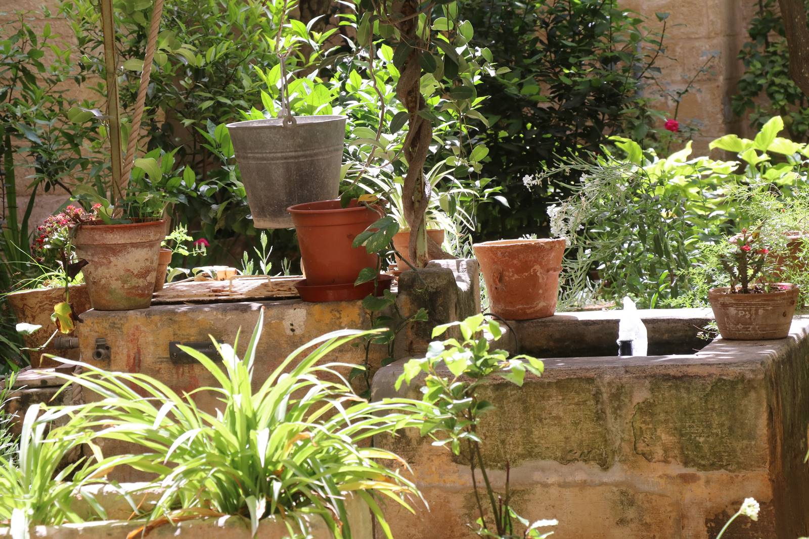 Monastère Ste Catherine Mysetium Fidei (3)