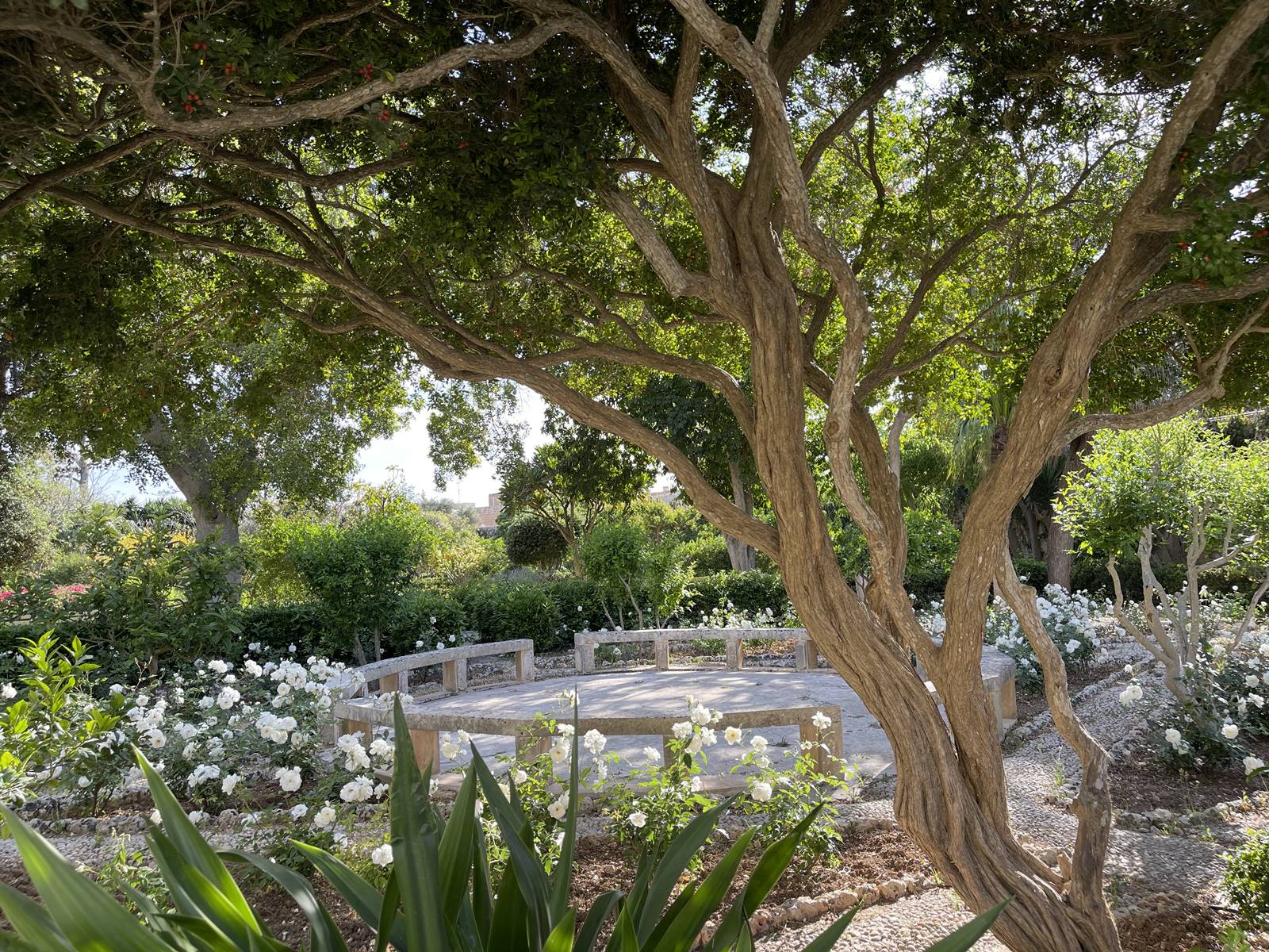 Palazzo Parisio Malata (3) Palazzo Parisio Malata (3)