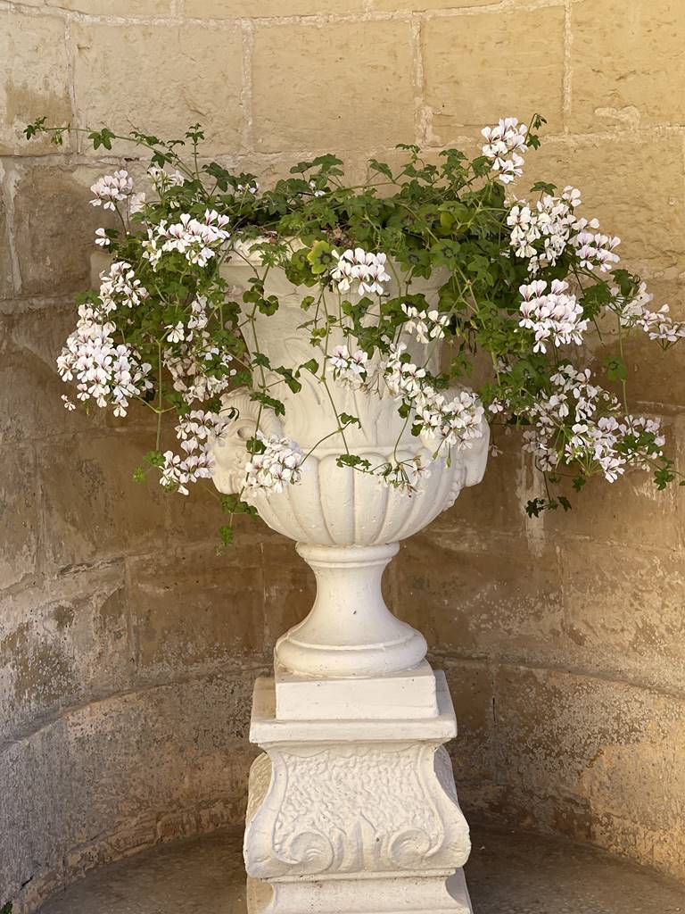 Palazzo Parisio Malata (6) Palazzo Parisio Malata (6)