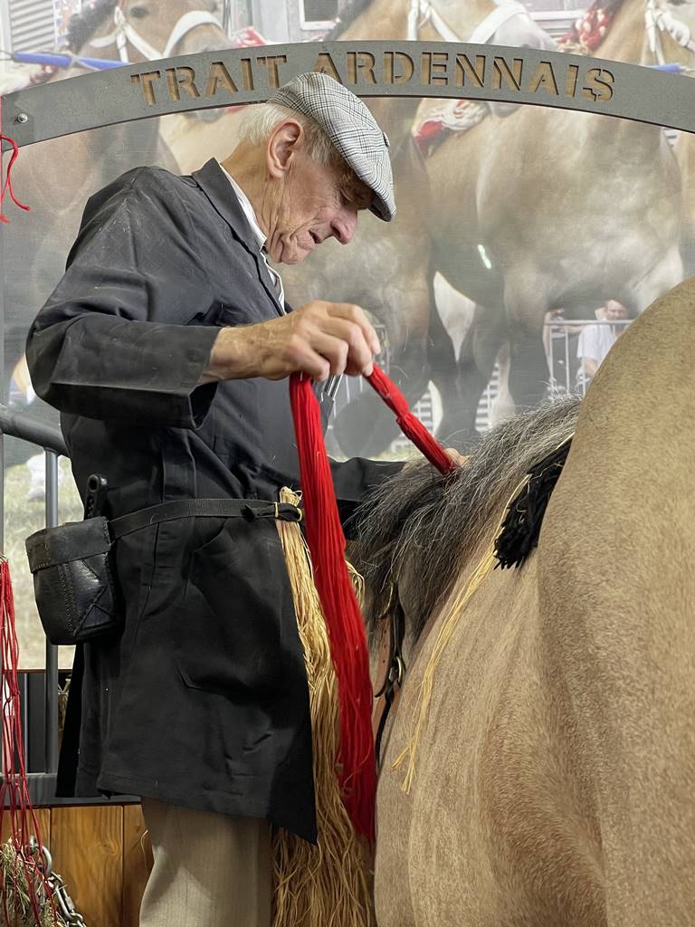 Cheval Ardennais (2)