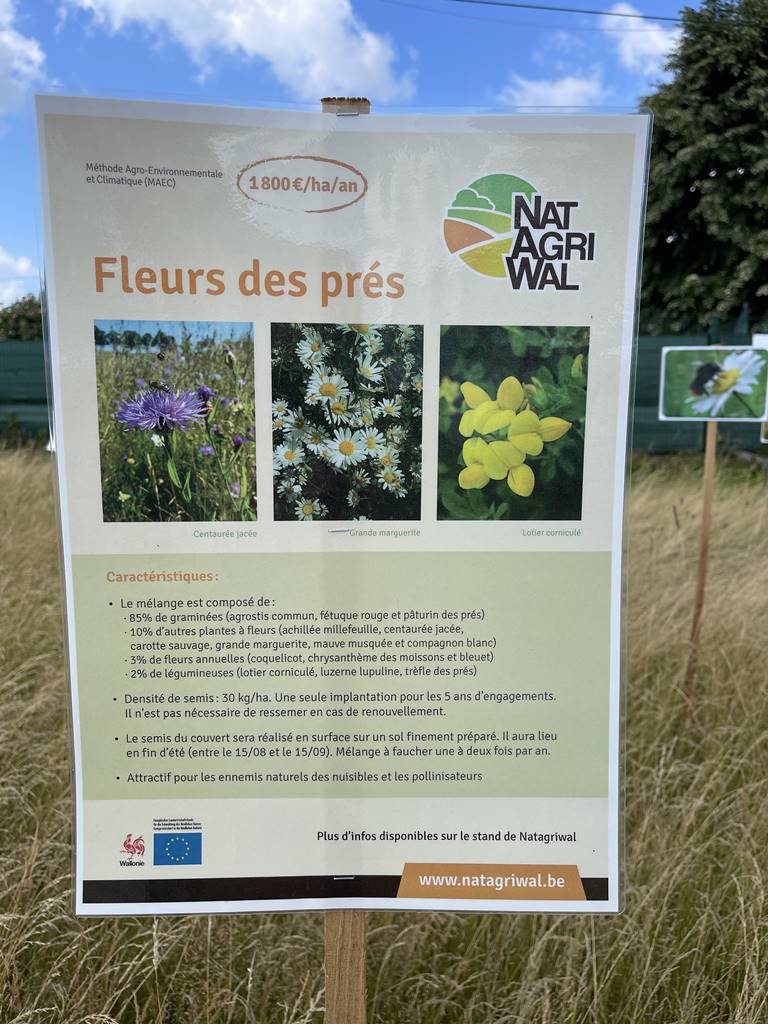 Foire de Libramont 2025 (18)