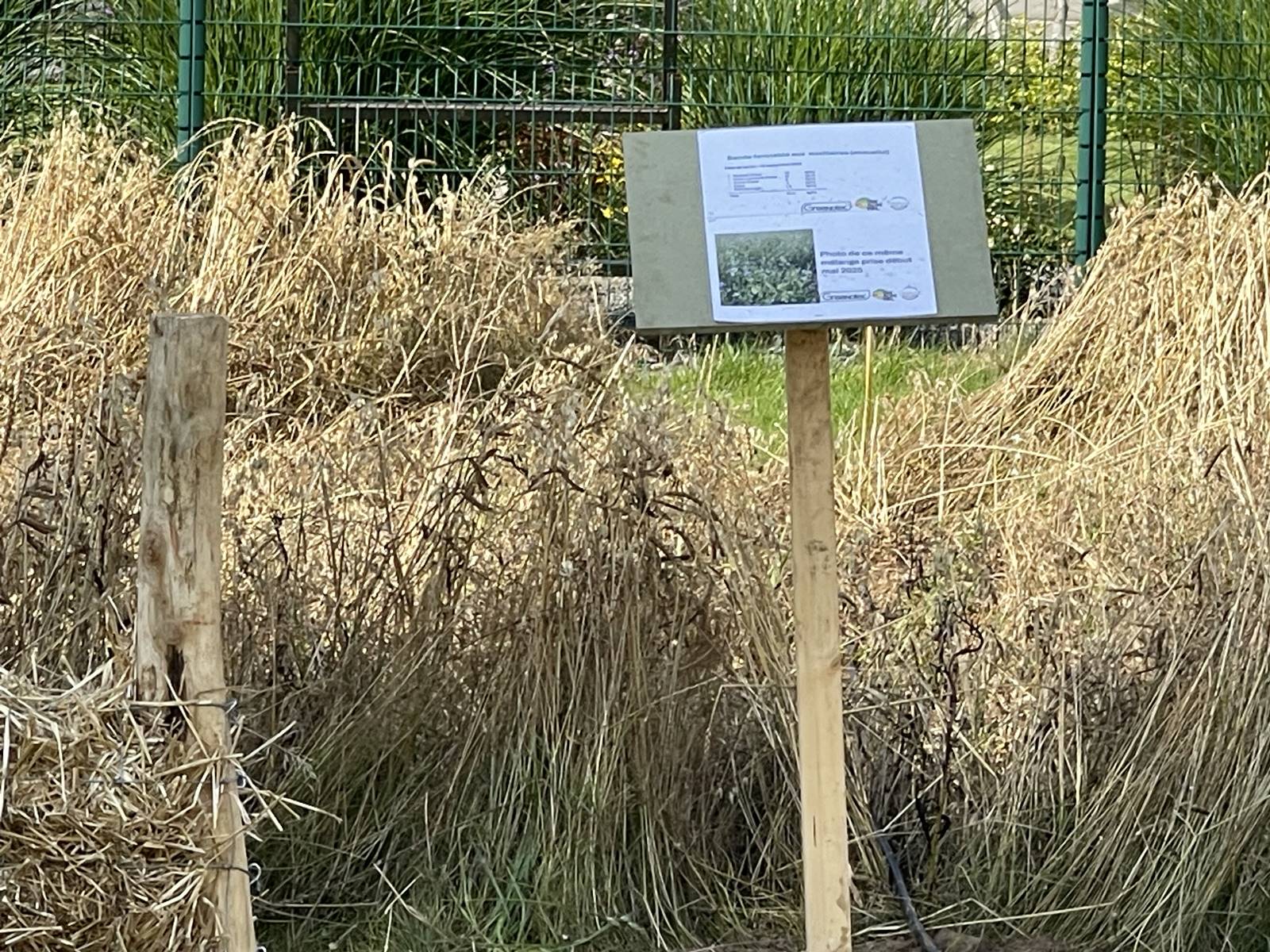 Foire de Libramont 2025 (27)